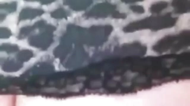 viejo videos de sexo subtitulados en español negro