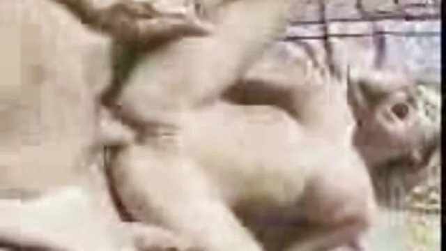 Sexy Colombiana Hairjob, Cabello Largo, Cabello hentai sin censura 2019 sub español